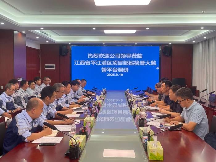 公司纪委书记黎晓带队赴江西省平江灌区全过程工程咨询项目巡检暨大监督平台调研督导